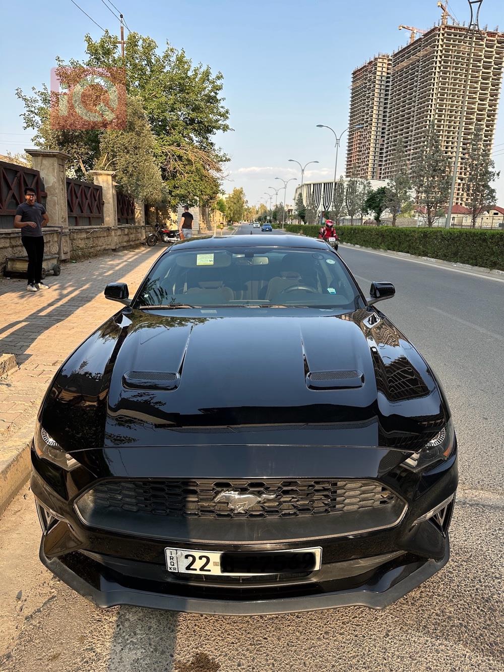 فورد موستانج